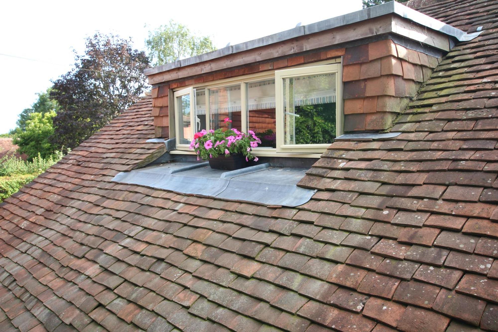 Cowslip Barn Annexe, Countryside Stay Near Chichester Exteriör bild